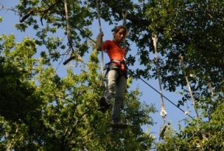  Workshop in the trees Treigny 